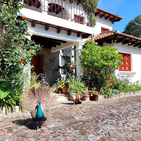 Hotel Y Jardines Casa Buho Antigua Buitenkant foto