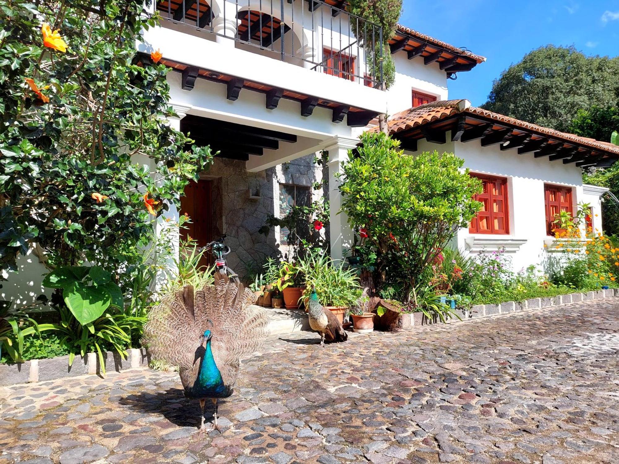 Hotel Y Jardines Casa Buho Antigua Buitenkant foto